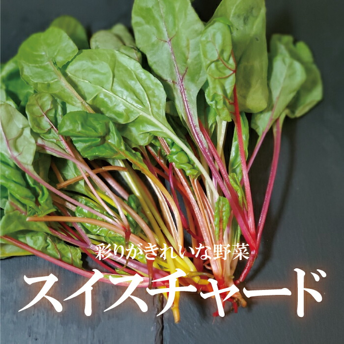 楽天市場 スイスチャード 1パック フダンソウ 不断草 お取り寄せ 単品 野菜 カラフルサラダ 新鮮 インスタ映え おしゃれ 新鮮野菜とフルーツのお店 旬屋