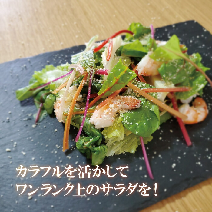 楽天市場 スイスチャード 1パック フダンソウ 不断草 お取り寄せ 単品 野菜 カラフルサラダ 新鮮 インスタ映え おしゃれ 新鮮野菜とフルーツのお店 旬屋