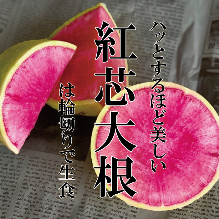 楽天市場 紅芯大根 紅心大根 紅しん大根 美味しい 色鮮やか 赤い大根 お取り寄せ インスタ映え 単品 野菜 新鮮野菜とフルーツのお店 旬屋