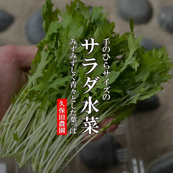 楽天市場】有機JAS認定 水菜 1パック【みずな ミズナ 国産 有機