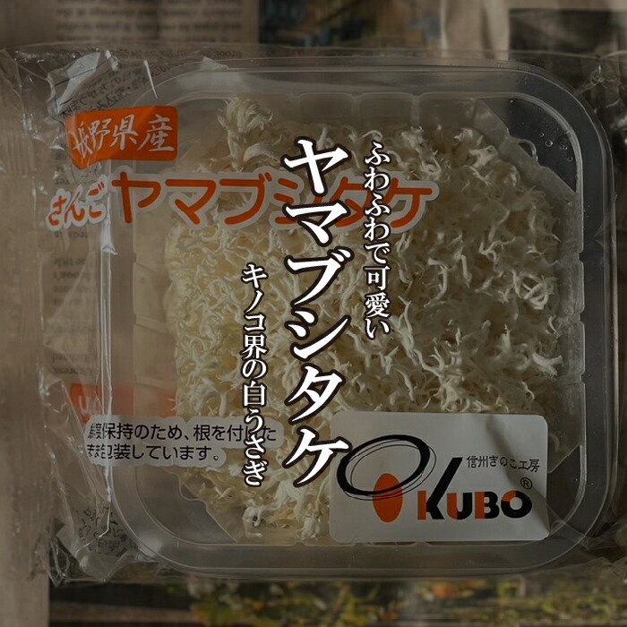 楽天市場】山伏茸〈ヤマフシダケ ヤマブシタケ〉1パック、100g