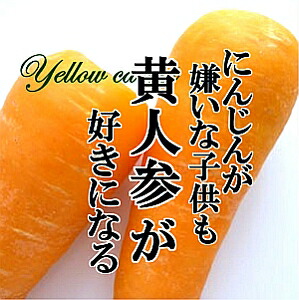 【送料無料】黄人参  1kg 黄色 人参 にんじん ニンジン イエロー  鮮やか めずらしい野菜