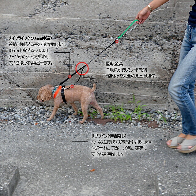 体重15 30kg用 犬用品 ダブルリード 外れ防止 ショックレスパッドなし 首輪とハーネスの両方を愛犬に装着させて それぞれにリードをつなぐ 迷子 脱走 逃走 ジョイント 逸走 安全なリード 体重15 30kg用 ダブルリード ショックレスパッドなし 安全なリードダブル 体重15 30kg用 犬用品 ダブルリード 外れ防止 ショックレスパッドなし 首輪とハーネスの両方を愛犬に装着させて それぞれにリードをつなぐ 迷子 脱走 逃走 ジョイント 逸走 安全なリード 体重15 30kg用 ダブルリード ショックレスパッドなし 安全なリードダブル