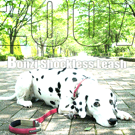 楽天市場 体重15 30kg用 ダブルリード安全なリード ショックレスパッド付 ダブルリードジョイントリード 犬 外れ防止 ダブルナスカンリード ダブルハーネス 脱げない ハーネス 首輪とハーネスをつなぐ 両方 二股 絡まない 犬の首輪堂ハフマン