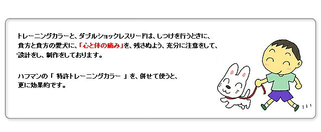 貴方の不安を解消 その他 犬 しつけ 散歩 リード 躾用 リード しつけ リード 引っ張る リードウォーク 犬のリード キャッシュレス 5 還元 しつけ 専用リード 体重8 kg以内用犬 散歩 躾用 リード しつけ リード 引っ張る リードウォーク しつけ 用リード トレーニング