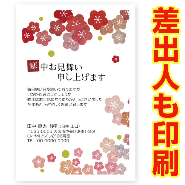 仕向け男刷り込み 官製葉書 30枚 寒中視察はがき Ks 55 寒中見舞い ハガキ 端書 Gullane Com Br