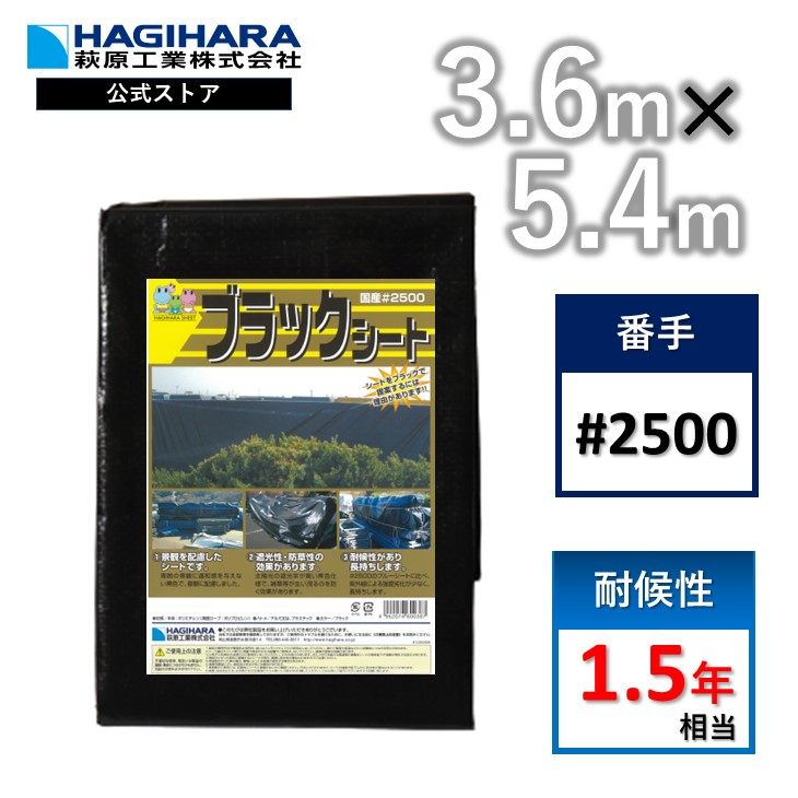 楽天市場】【メーカー公式】 ターピーシート #3000 2.7m×5.4m ブルーシート 日本製 耐候性1年 厚手 防水 養生 台風 災害 防災 備蓄  屋根 雨よけ 風よけ 日よけ 防雪 カバー 保護 農作業 レジャー 花見 アウトドア 運動会 国産 2.7×5.4 : シート・土のうの萩原工業 公式SHOP