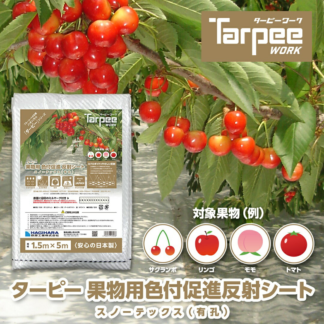 大口申し付けるご話しあい受け付け打ち立てる