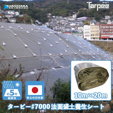 大口申し付けるご論じ合う受け付け打ち立てる