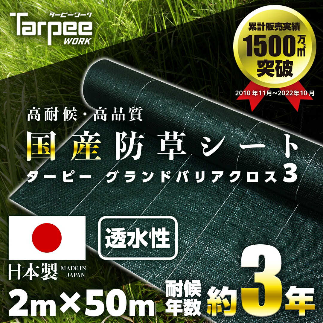 楽天市場】【11/15限定☆抽選で2人に1人最大100%ポイントバック！要