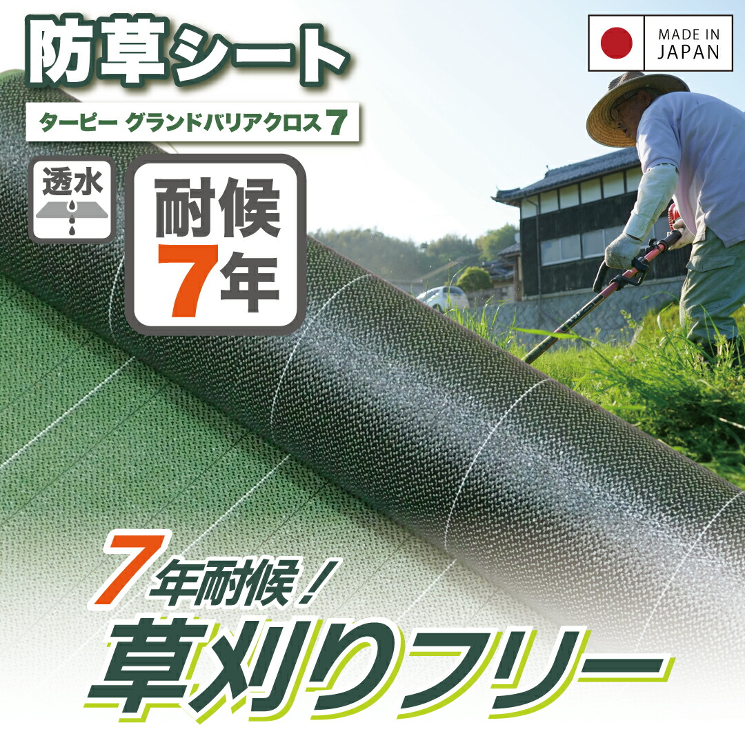 楽天市場】＼20日限定 抽選で100%Pバック＆ブラックフライデー開催 11