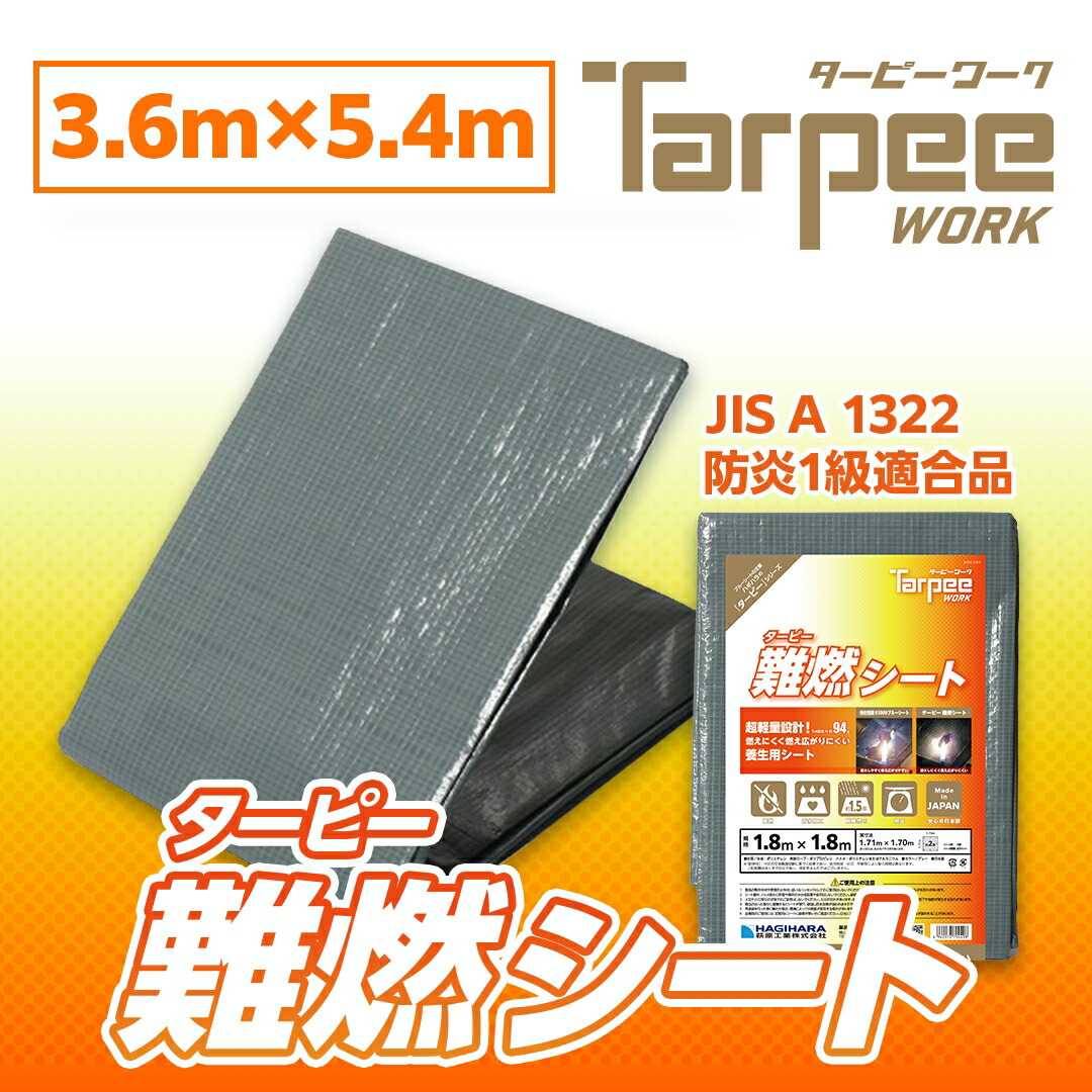 こページ b-064.jpg