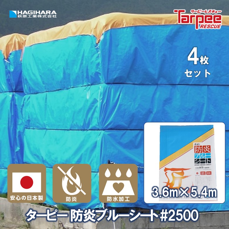 大口申しつけるご話し合う受け付け打ち立てる