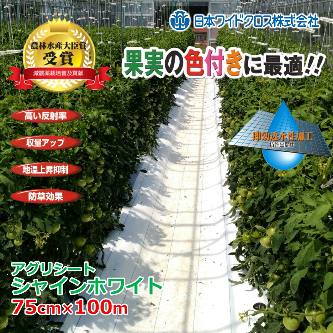 大口申し付けるご話しあい受け付け打ち立てる