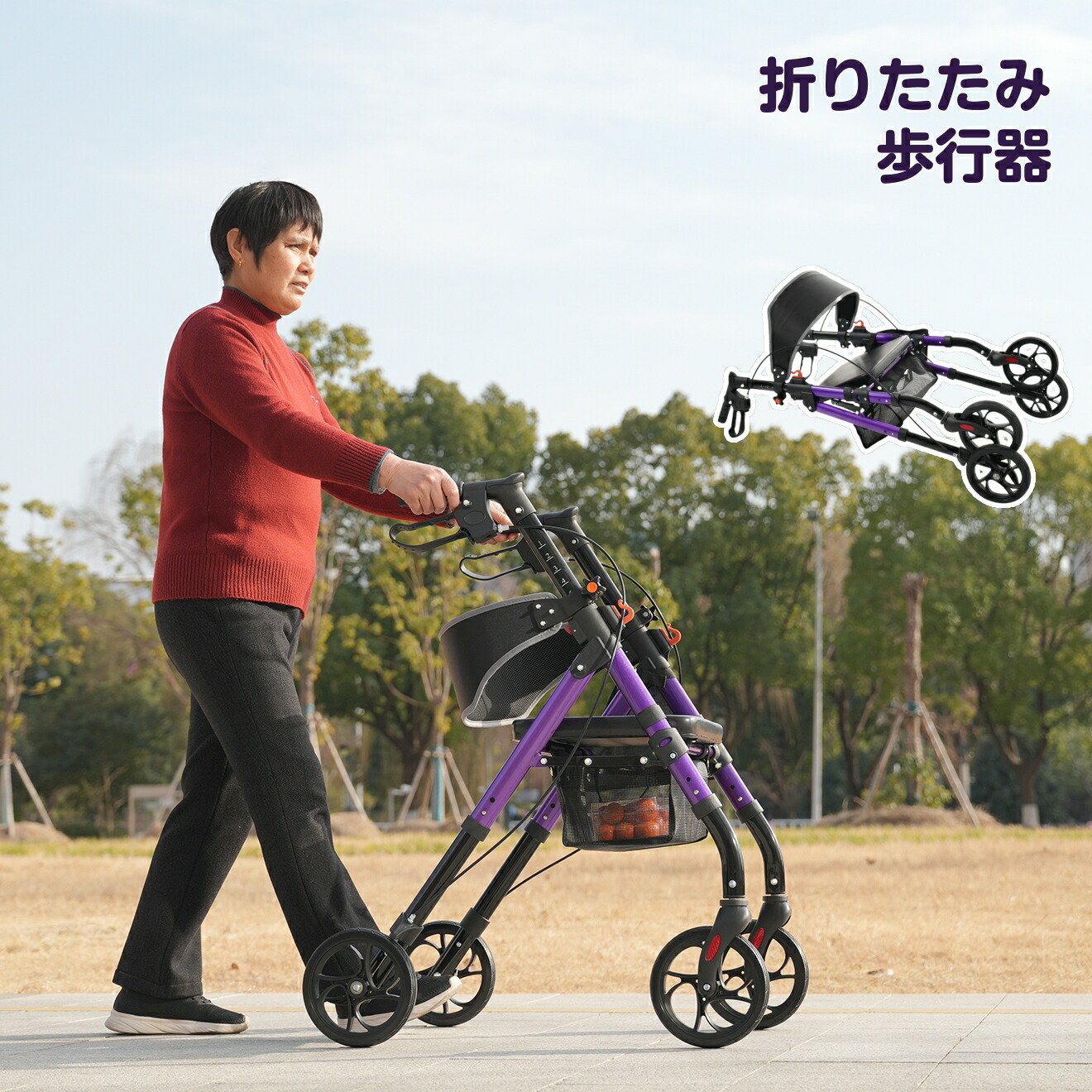 新作品目、続々御出座し！