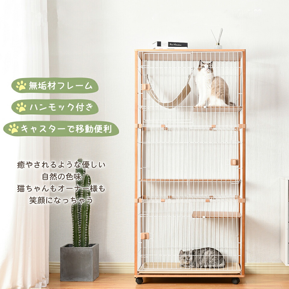 新作品目、続々御出座し！
