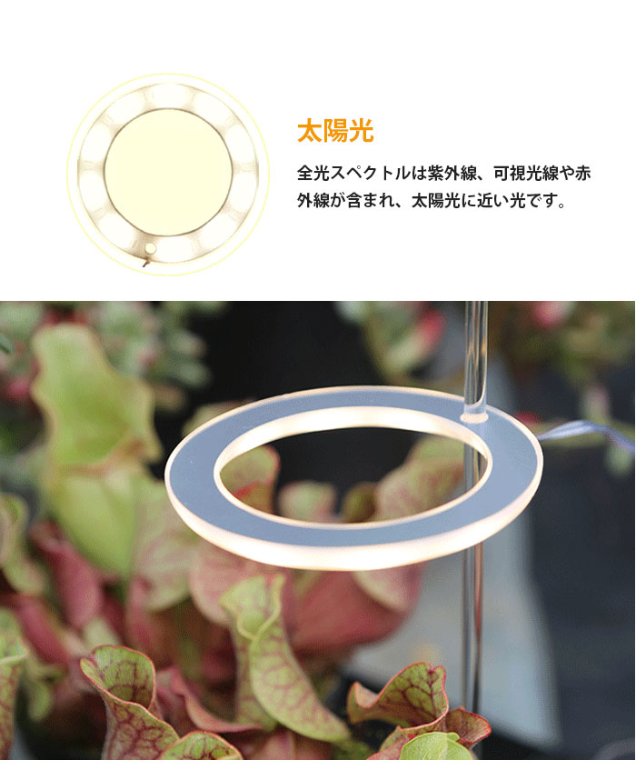 市場 植物育成ライト リモコン付 栽培 調光可能 リング 観葉植物 多肉植物 タイマー設定 観葉 LED 2個 太陽光