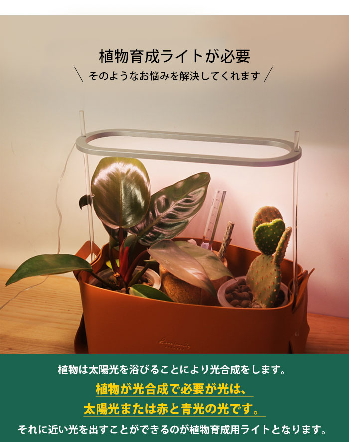 植物育成ライト Led タイマー設定 リモコン付 フルスペクトル 観葉植物 多肉植物 太陽光 観葉 植物灯 調光可能 栽培 テープライト