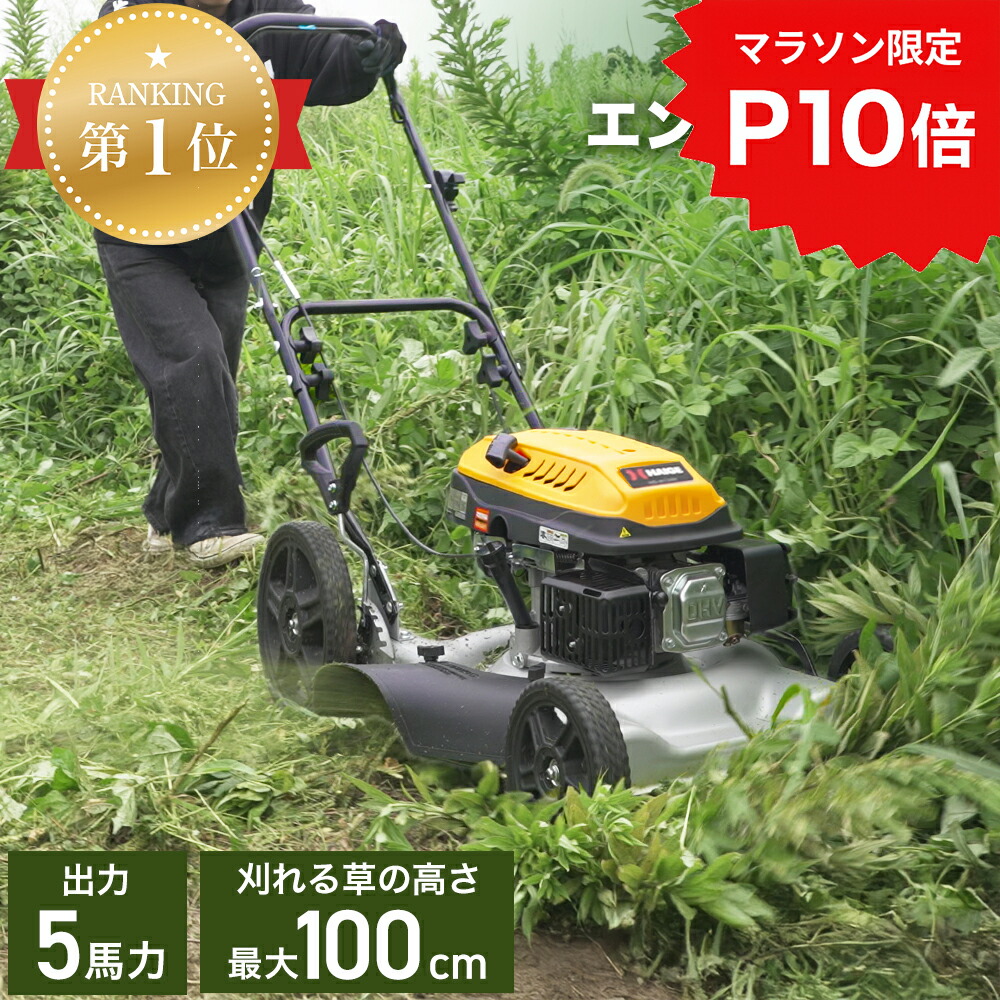 楽天市場】【4/1-4/30確率1/2!最大100%ポイントバック☆要エントリー 