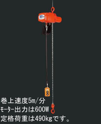 【SALE価格】エスコ (ESCO) EA987DA-9 AC100V/490kgx 5m 電動チェーンブロック EA987DA-9