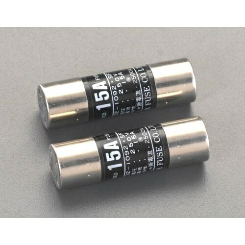 エスコ (ESCO) EA758ZV-9 250Vx 40A/φ20mm 筒型ｴﾝｸﾛﾋｭｰｽﾞ(2本) EA758ZV-9 【2PACKセット】