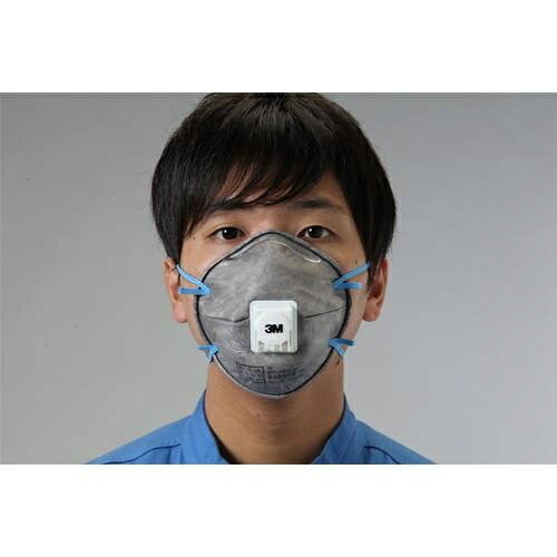 エスコ (ESCO) EA800NB-4 [DS2] ﾏｽｸ(防塵･防臭用/排気弁付/10枚) EA800NB-4 【2箱セット】