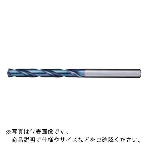 フジコシ アクアREVOせん孔機  油絵の具広座敷5D ( AQRVDOH5D1100 (11.0) )