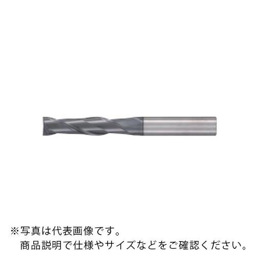 フジコシ GSX MILL 2枚刃 4D ( GSX21000C-4D (10.0/2ﾏｲﾊ/4D) )