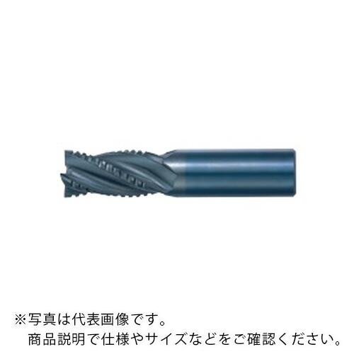フジコシ 甚だしい ( 6HV33.0 )