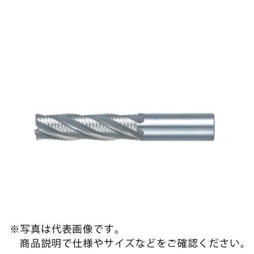 フジコシ ラフィング 挙げ句の果て粉砕機 ロング ( LRE  50.0X42 L ﾛﾝｸﾞﾊﾞ )
