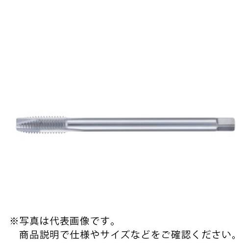 フジコシ N 尖んがり水道栓 ロングシャンク ( NPOL10M1.5RX100 ) 【10本仕掛ける】