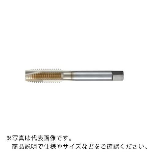フジコシ SG 尖んがり水道栓 ( SGPO24M2R )