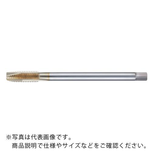 フジコシ SG 尖んがり水道栓 ロングシャンク(厚地の外套大きさ) ( SGPOL10M0.75R+1X150 )