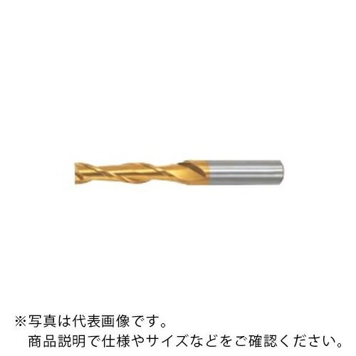 フジコシ Gスタンダード エンドミル ロング2枚刃[SL2GE] ( SL2GE 38.0 SL2 )
