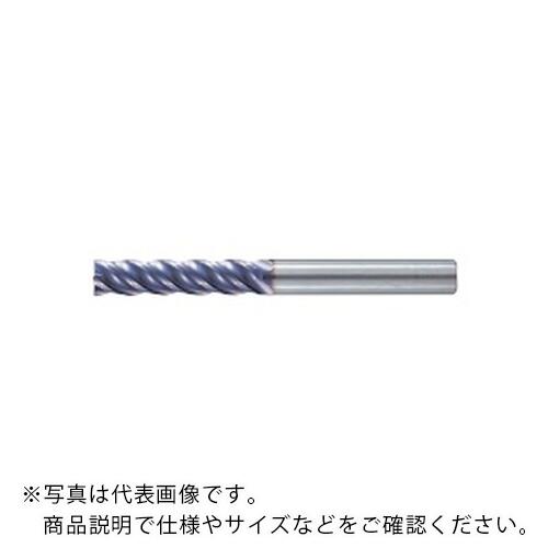 フジコシ X\u0027s粉砕機 ジオ ロング ( SL4GEO 20 ﾛﾝｸﾞ )