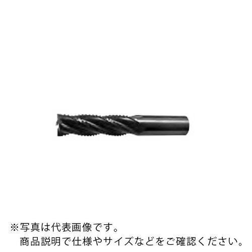 フジコシ 甚だしい ロング ( SL6HV30.0 (ﾛﾝｸﾞ) )