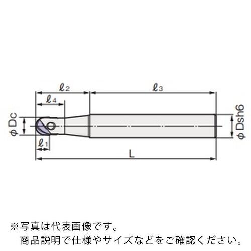フジコシ Xsミルウェイビーボール WBMF型 ( XSWBMF1200L R10 )
