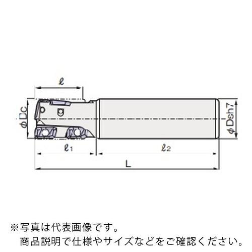 フジコシ X\u0027s粉砕機 ウェイビー 多役立つこと3000E ( XSWMM3032E (32.0) )