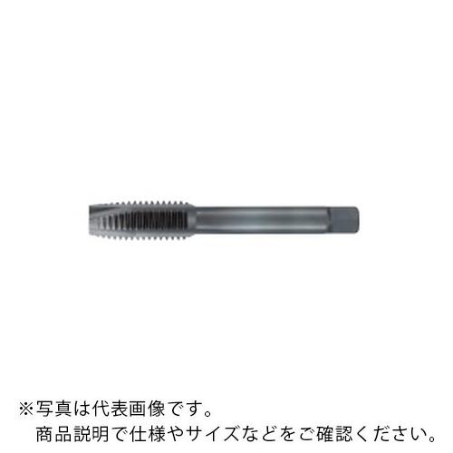 フジコシ Hyper Z 尖んがり水道栓 ( ZPO24M1R )