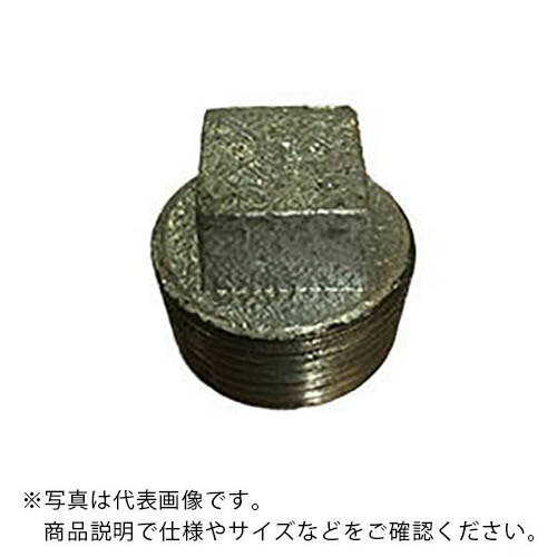 楽天市場】可鍛鋳鉄FCMB（白） ネジ込継手 プラグ 20A (1633805