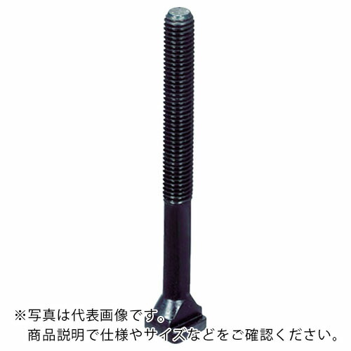 ROEMHELD ( ロームヘルド・ハルダー ) クランプ(工作機械用) T-ボルト クランピング・ナット用 100kN M24 ( 5700024 ) ロームヘルド・ハルダー(株) 【メーカー取寄】