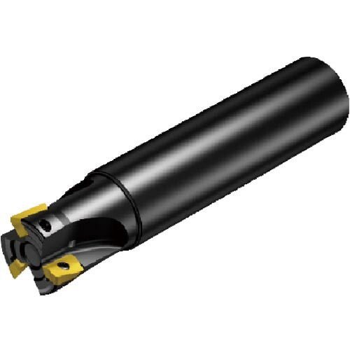 SANDVIK ( サンドビック ) 肩削りカッター コロミル390エンドミル(440) 刃径16mm 刃数2 シャンク径16mm 全長100mm ( R390-016A16-11L (440) ) 28,856円