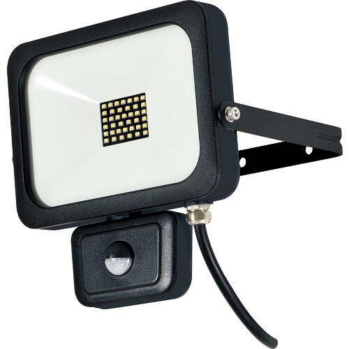 NICHIDO ( 日動製作 ) LED検出器ともし火 フラットセンサーライト 30W 室外型 2500Lm ( SLS-F30W )