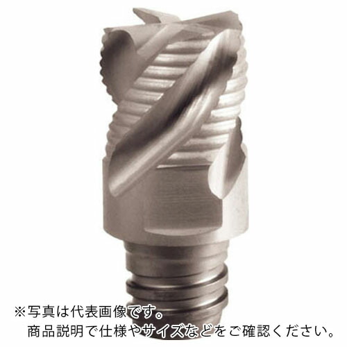 【SALE必要経費】イスカル マルチ御師匠さん 粗製作用ラフィングヘッド MM ERS 集積回路908 ( MM ERS120B09-4T08 集積回路908 ) 【2個仕掛ける】
