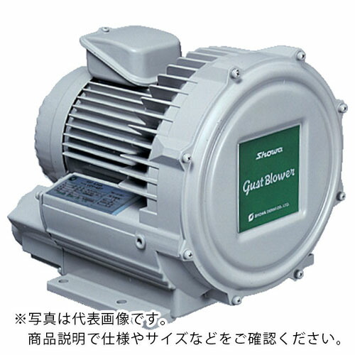 昭和 ( SDG ) 電動送風機 渦流式高圧シリーズ ガストブロアシリーズ(2.2kW) ( U2V-220 )