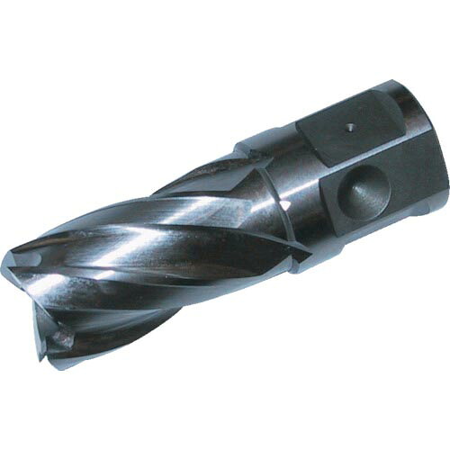 大見 ( 大見工業 ) 25SQハイスカッター 刃径24.0mm ( HCSQ240 )