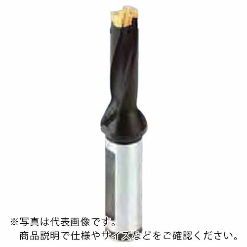 イスカル カムドリル ヘッド交換式ドリルホルダ DCM-3D ( DCM 075-022-12A-3D )