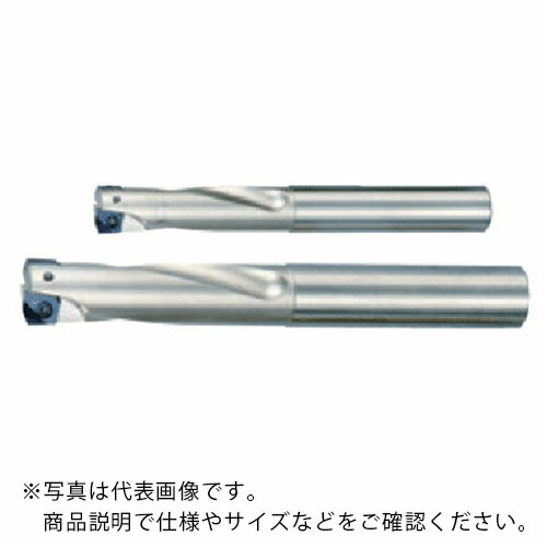 タンガロイ 柄付TAC粉砕機 ( EXH09R016M16.0-02 )