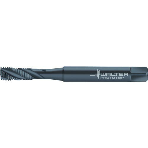 Prototyp ( ワルタージャパン ) スパイラルタップ パラデュア INOX メートルねじ用 M24 Φ19.0 ( JC20563-M24 )