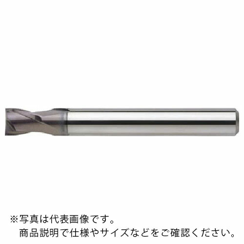 NS ( 日進工具 ) 超硬スクエアエンドミル 無限リード25エンドミル 2枚刃 MX225 Φ12 ( MX225 12 (08-00025-01200) )